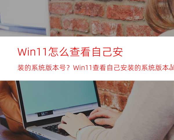 Win11怎么查看自己安装的系统版本号？Win11查看自己安装的系统版本号方法