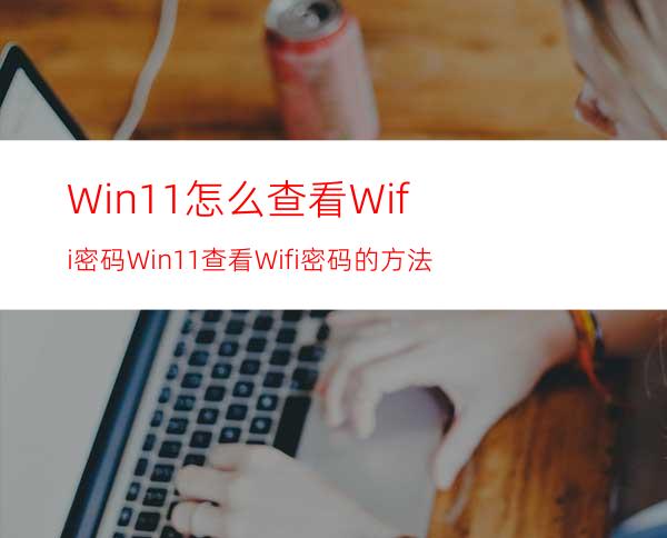 Win11怎么查看Wifi密码Win11查看Wifi密码的方法