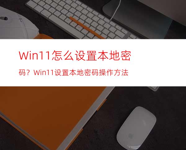 Win11怎么设置本地密码？Win11设置本地密码操作方法