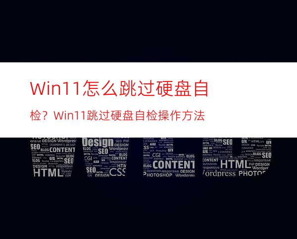 Win11怎么跳过硬盘自检？Win11跳过硬盘自检操作方法