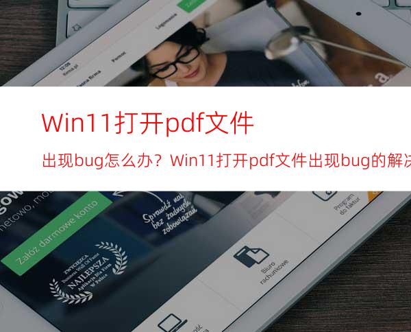 Win11打开pdf文件出现bug怎么办？Win11打开pdf文件出现bug的解决方法