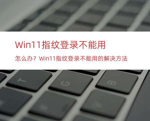 Win11指纹登录不能用怎么办？Win11指纹登录不能用的解决方法