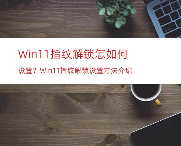 Win11指纹解锁怎如何设置？Win11指纹解锁设置方法介绍