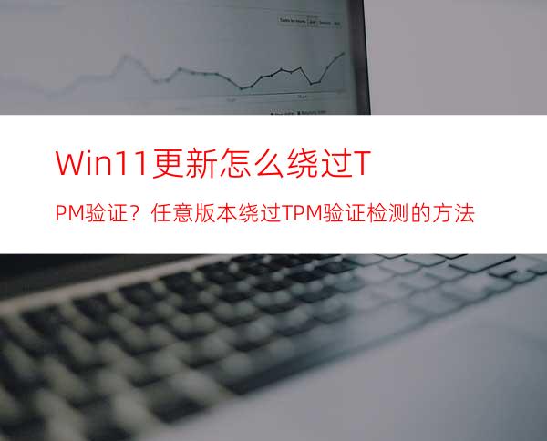 Win11更新怎么绕过TPM验证？任意版本绕过TPM验证检测的方法