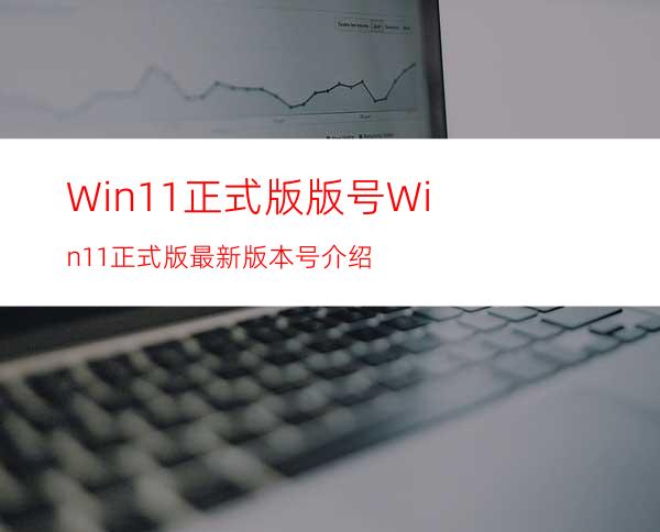 Win11正式版版号Win11正式版最新版本号介绍