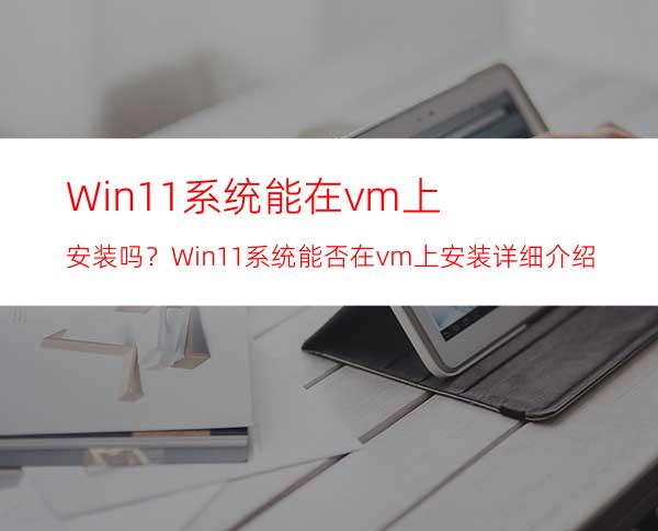 Win11系统能在vm上安装吗？Win11系统能否在vm上安装详细介绍