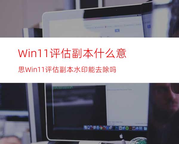 Win11评估副本什么意思Win11评估副本水印能去除吗