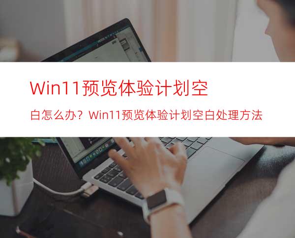 Win11预览体验计划空白怎么办？Win11预览体验计划空白处理方法