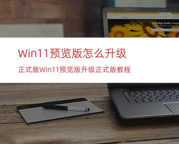 Win11预览版怎么升级正式版Win11预览版升级正式版教程