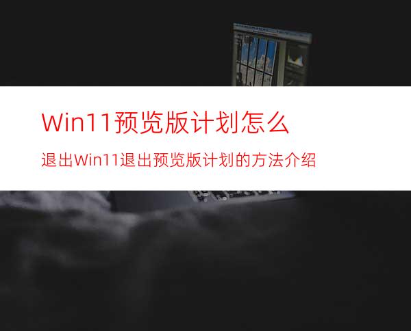 Win11预览版计划怎么退出Win11退出预览版计划的方法介绍