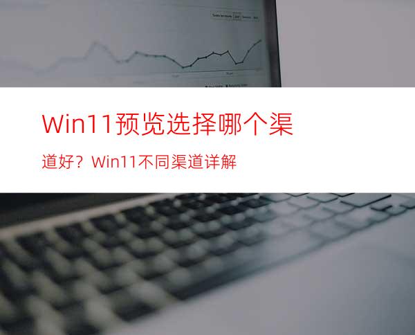 Win11预览选择哪个渠道好？Win11不同渠道详解