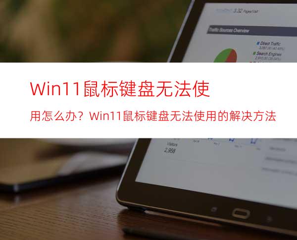 Win11鼠标键盘无法使用怎么办？Win11鼠标键盘无法使用的解决方法