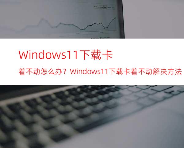 Windows11下载卡着不动怎么办？Windows11下载卡着不动解决方法