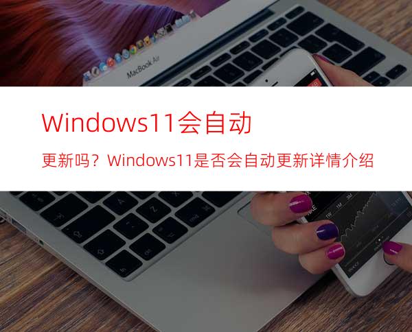 Windows11会自动更新吗？Windows11是否会自动更新详情介绍