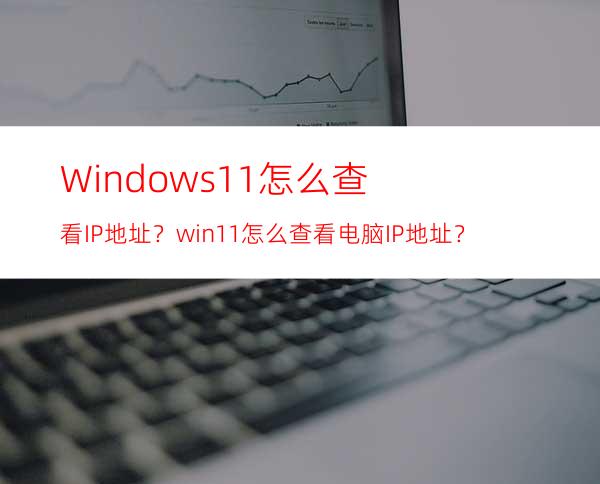 Windows11怎么查看IP地址？win11怎么查看电脑IP地址？