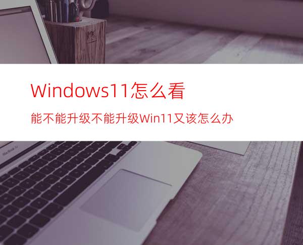 Windows11怎么看能不能升级不能升级Win11又该怎么办