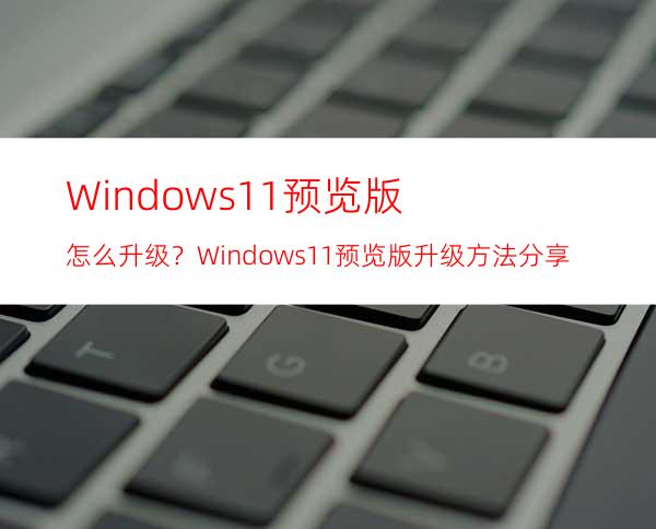 Windows11预览版怎么升级？Windows11预览版升级方法分享