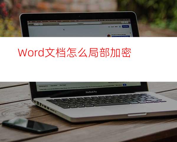 Word文档怎么局部加密