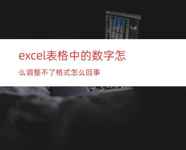 excel表格中的数字怎么调整不了格式怎么回事