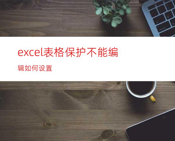 excel表格保护不能编辑如何设置