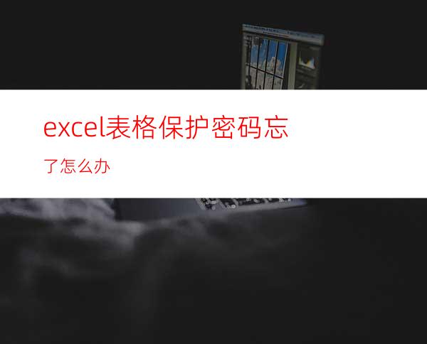 excel表格保护密码忘了怎么办