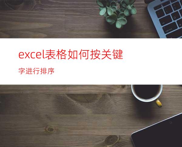 excel表格如何按关键字进行排序