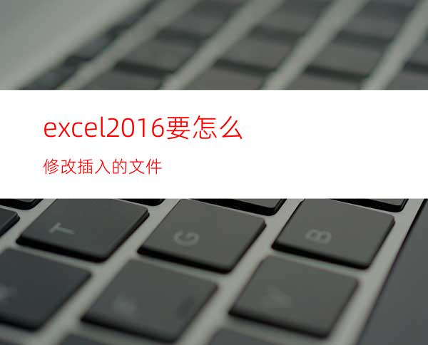 excel2016要怎么修改插入的文件