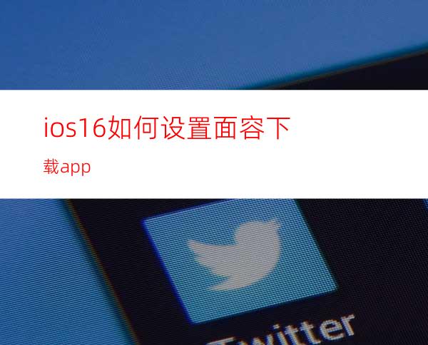 ios16如何设置面容下载app