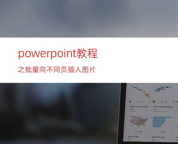 powerpoint教程之批量向不同页插入图片