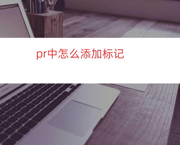 pr中怎么添加标记