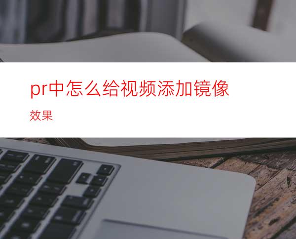 pr中怎么给视频添加镜像效果