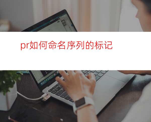 pr如何命名序列的标记