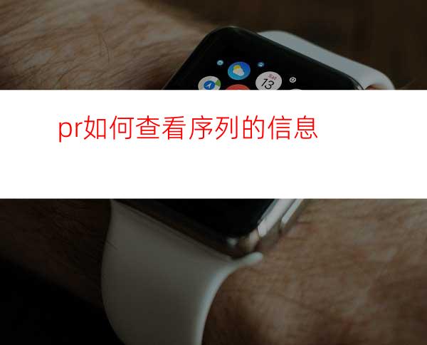 pr如何查看序列的信息