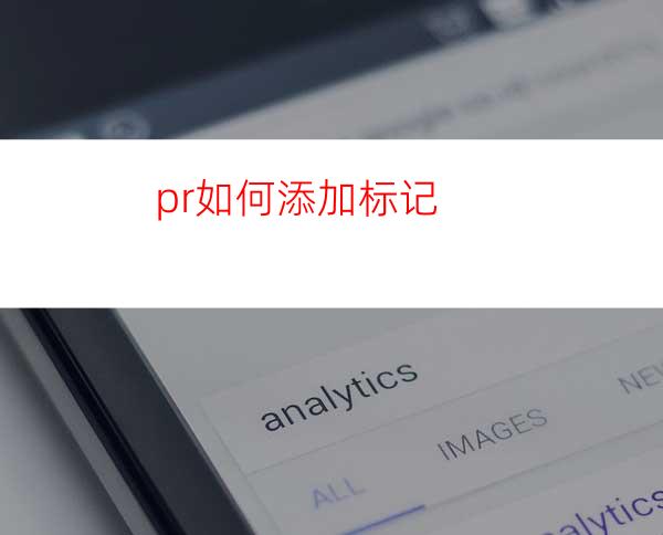 pr如何添加标记