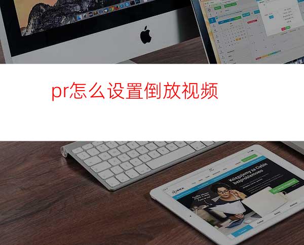 pr怎么设置倒放视频