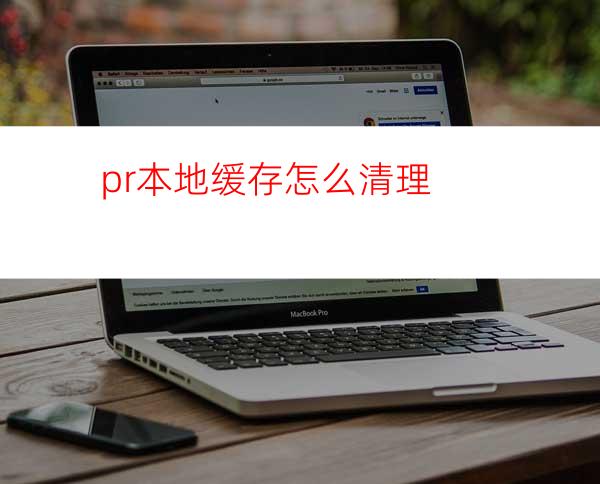 pr本地缓存怎么清理