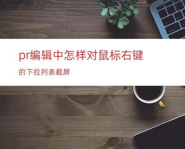 pr编辑中怎样对鼠标右键的下拉列表截屏