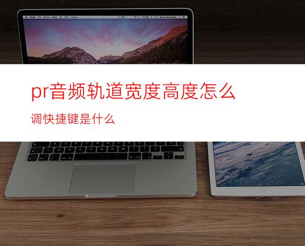 pr音频轨道宽度高度怎么调快捷键是什么