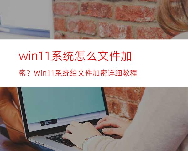 win11系统怎么文件加密？Win11系统给文件加密详细教程