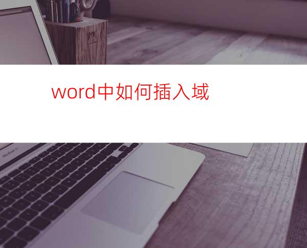 word中如何插入域