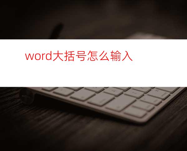 word大括号怎么输入?