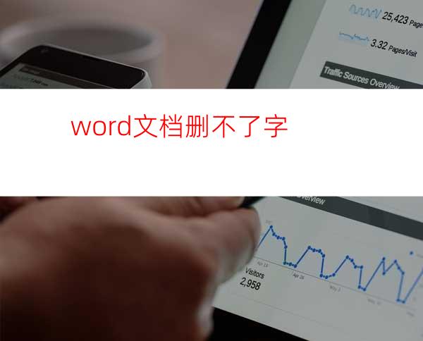 word文档删不了字