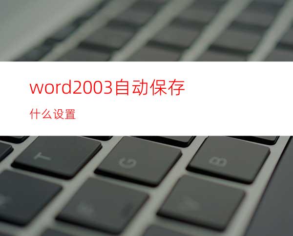 word2003自动保存什么设置