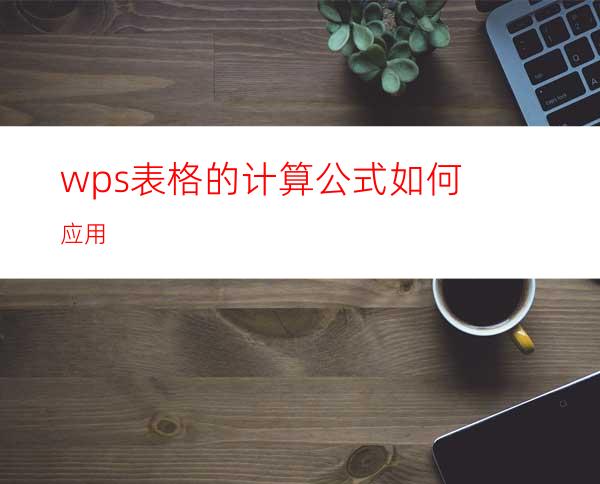 wps表格的计算公式如何应用?