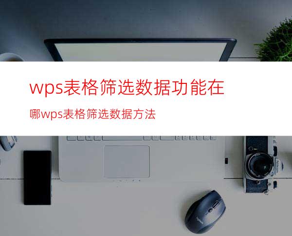 wps表格筛选数据功能在哪wps表格筛选数据方法